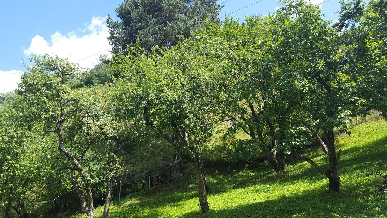 Raul Lushnu Darbaz Bed & Breakfast Mestia Bagian luar foto
