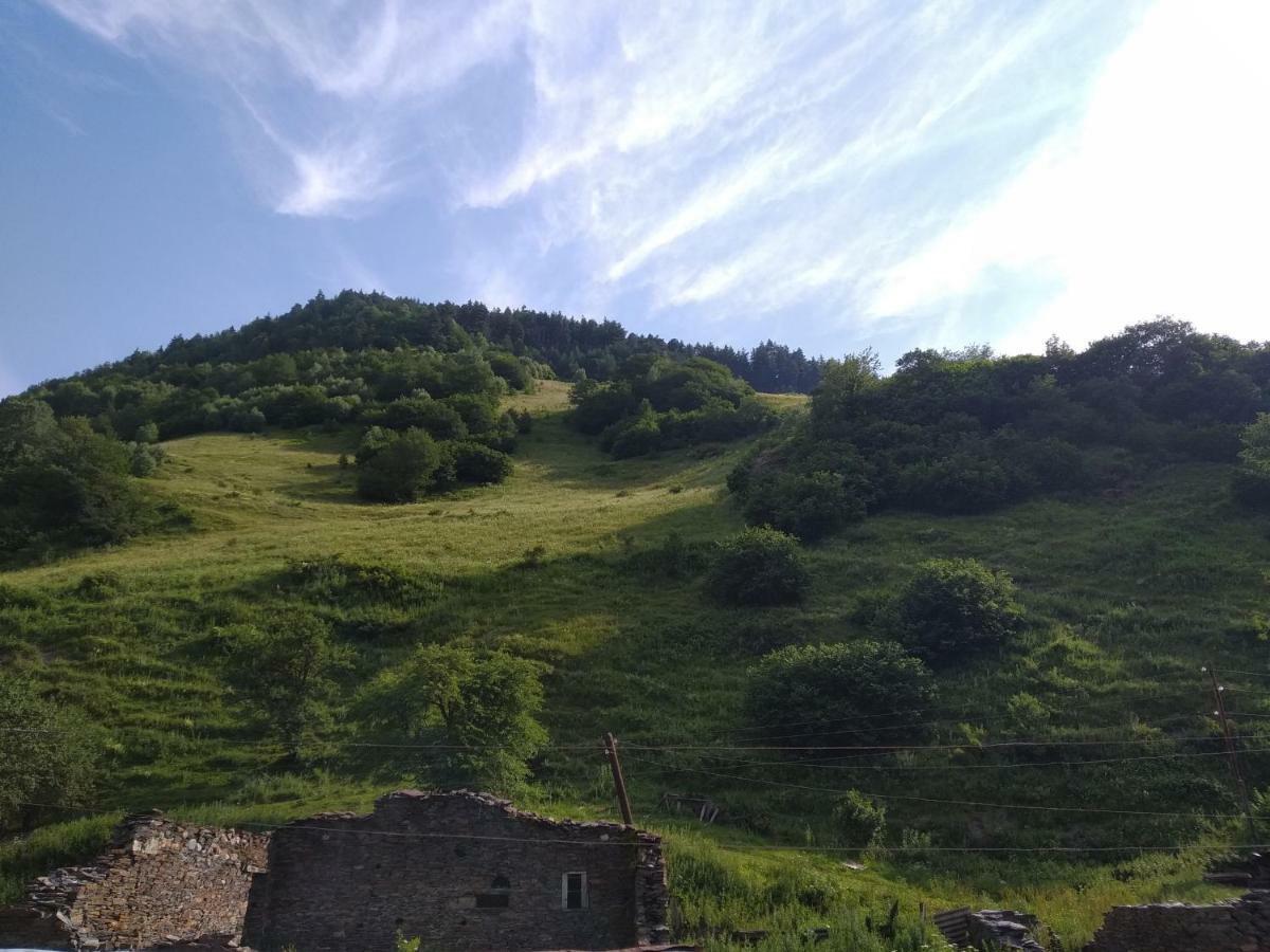 Raul Lushnu Darbaz Bed & Breakfast Mestia Bagian luar foto