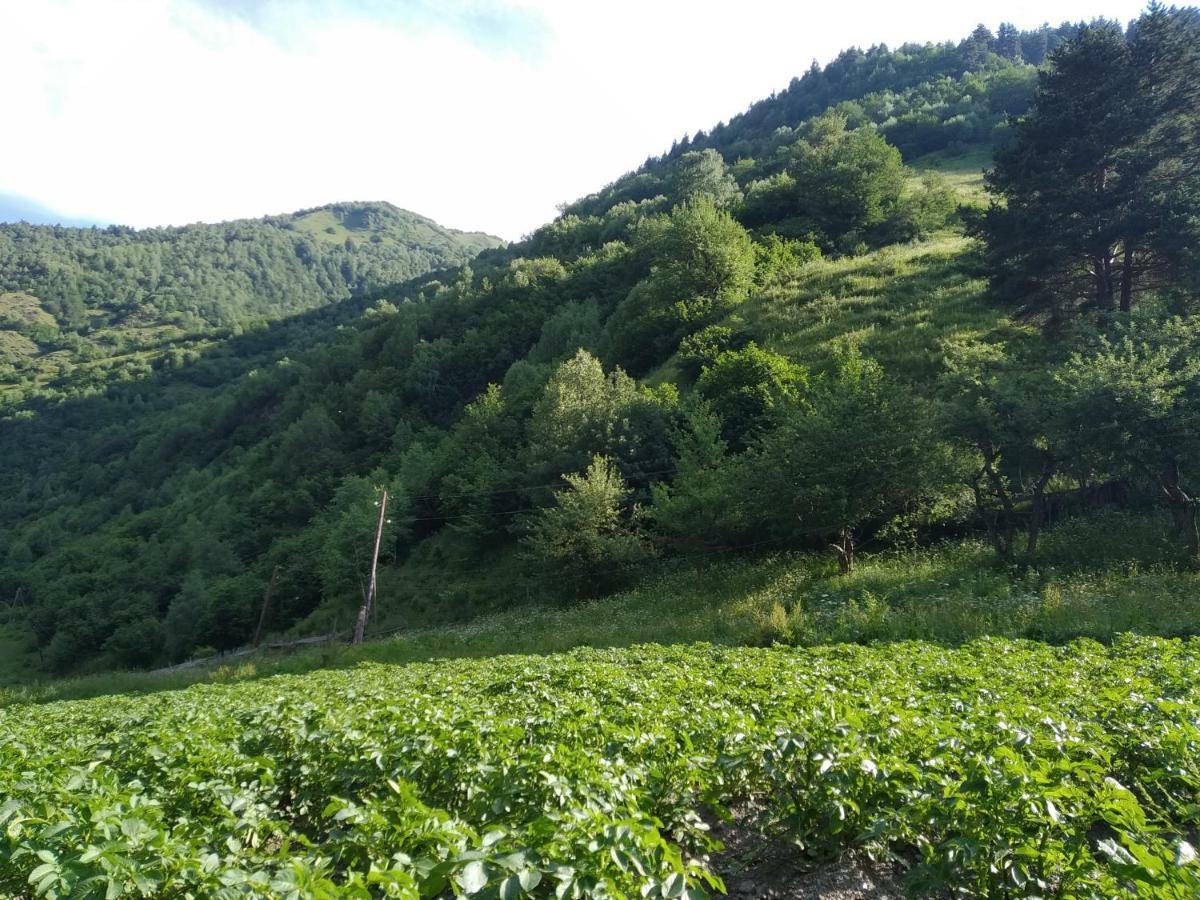Raul Lushnu Darbaz Bed & Breakfast Mestia Bagian luar foto