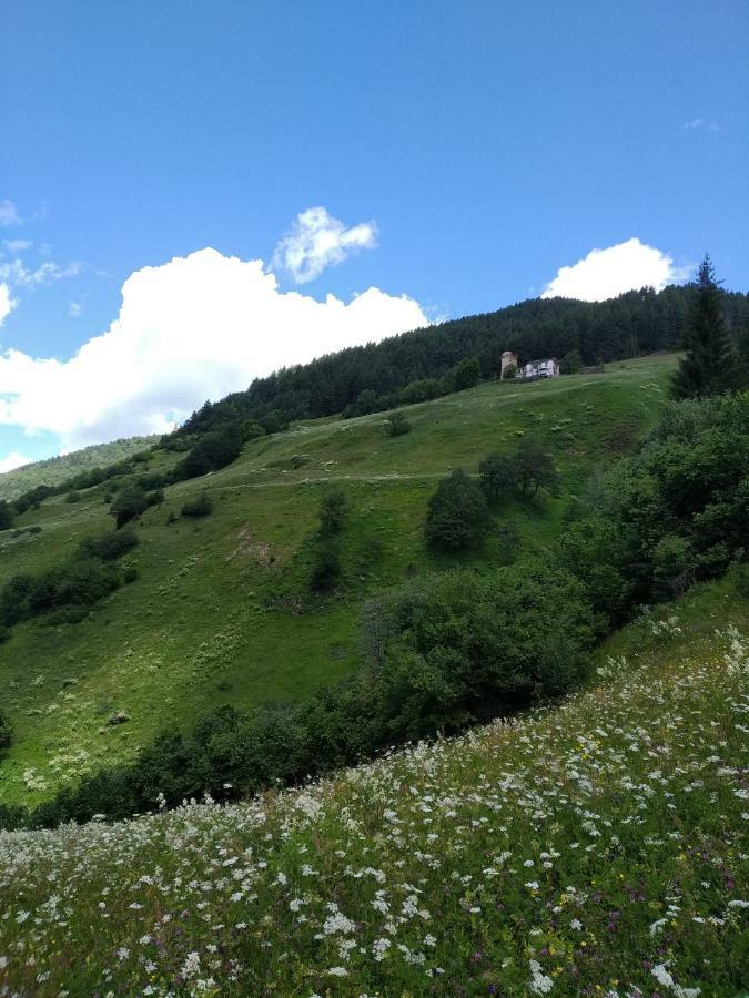 Raul Lushnu Darbaz Bed & Breakfast Mestia Bagian luar foto